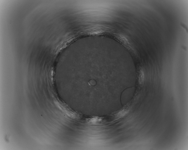 X0000102460366200808081232