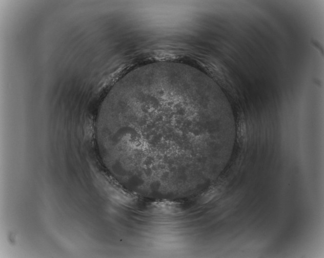 X0000102460367200808081233