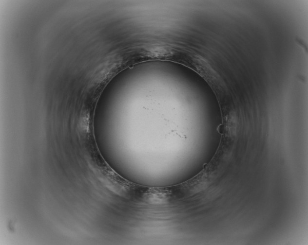 X0000102460368200808081233