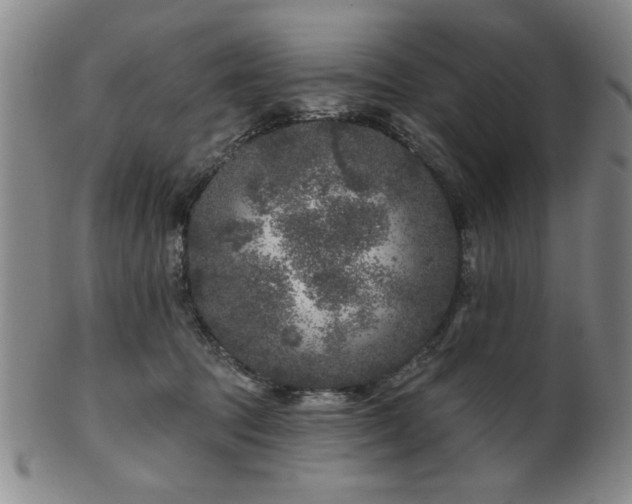 X0000102460369200808081233