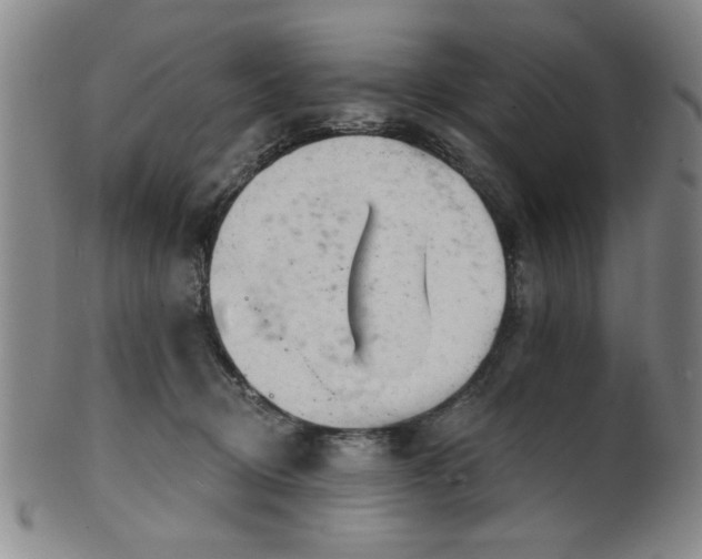 X0000102460370200808081233