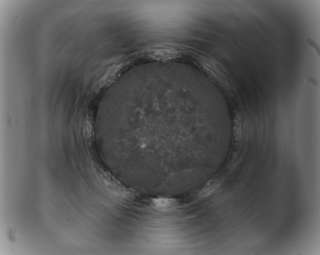 X0000102460371200808081233