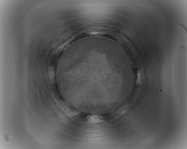 X0000102460372200808081233