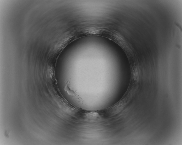 X0000102460374200808081233