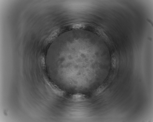 X0000102460375200808081233