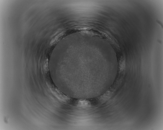 X0000102460376200808081233