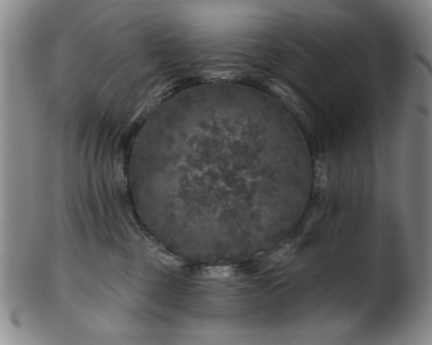 X0000102460377200808081233