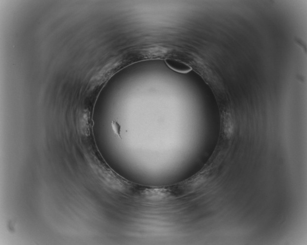 X0000102460378200808081233