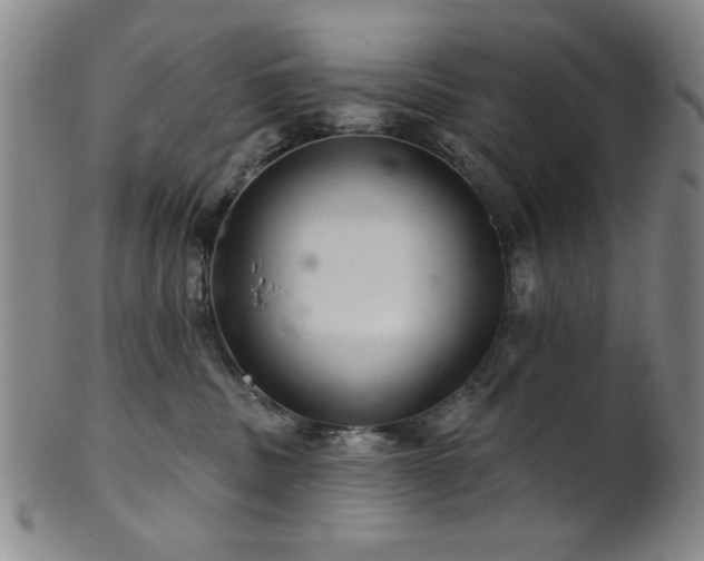 X0000102460379200808081233