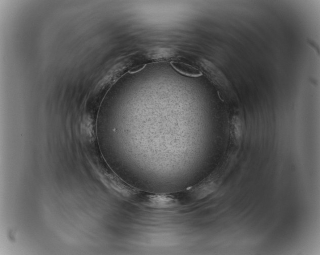 X0000102460380200808081233