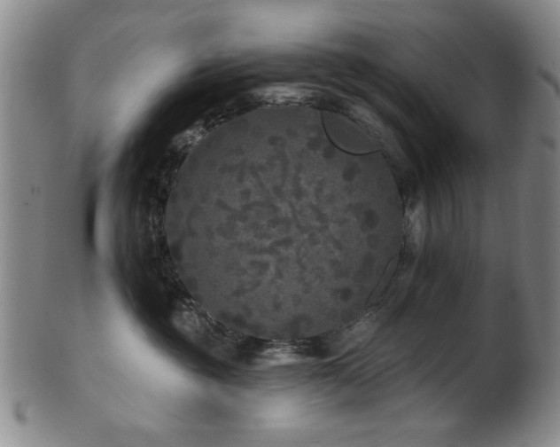 X0000102460381200808081233