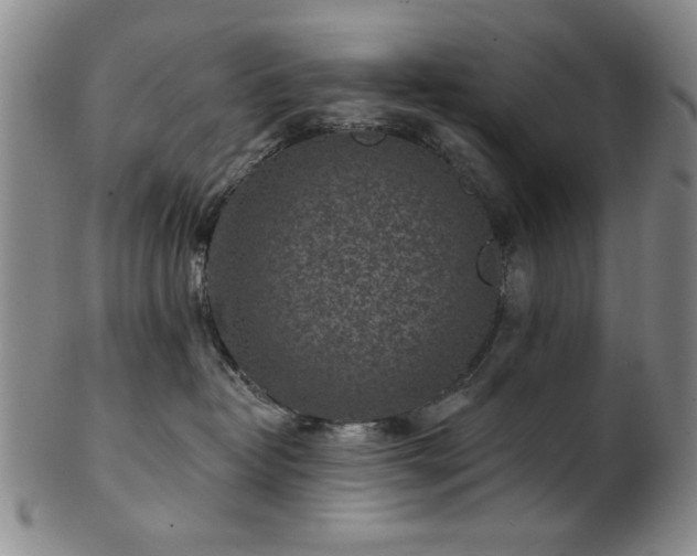 X0000102460382200808081233