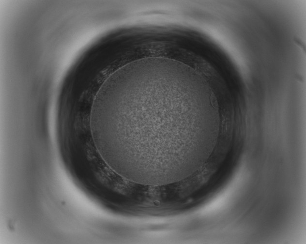 X0000102460383200808081233