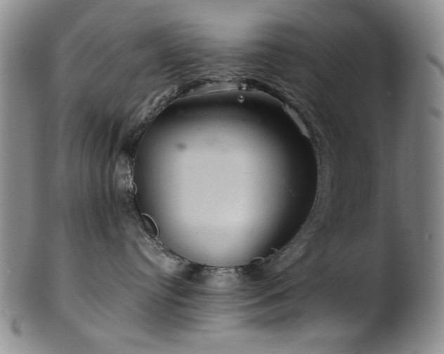 X0000102460384200808081233