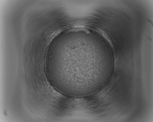 X0000102460385200808081232