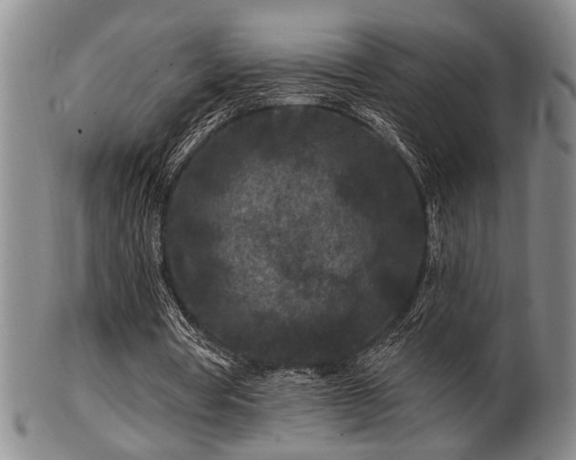 X0000102460386200808081232