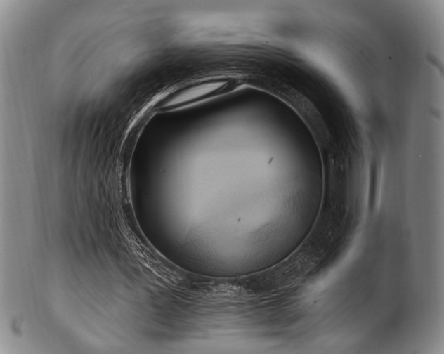 X0000102460387200808081232