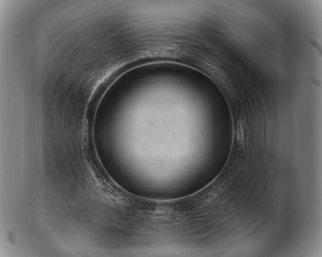 X0000102460388200808081232