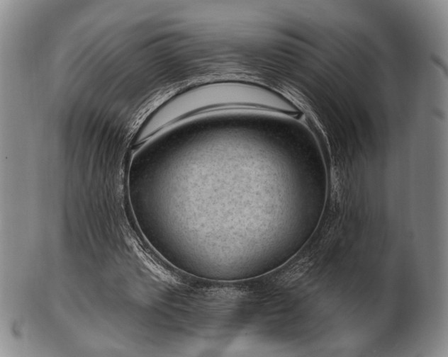 X0000102460389200808081232