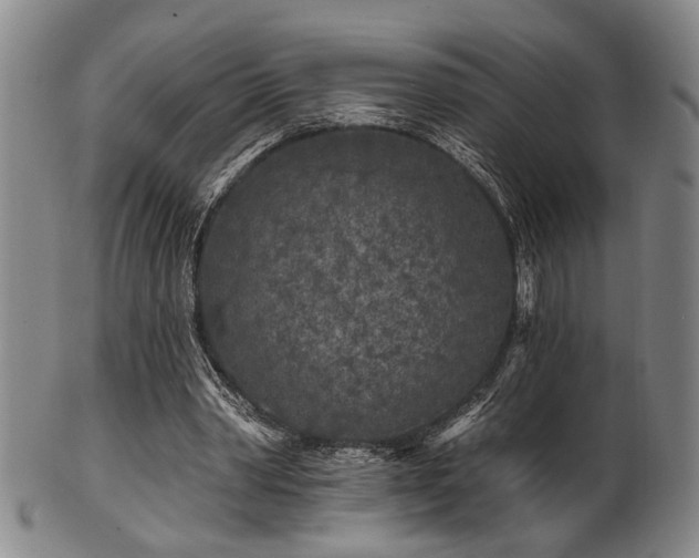 X0000102460390200808081232