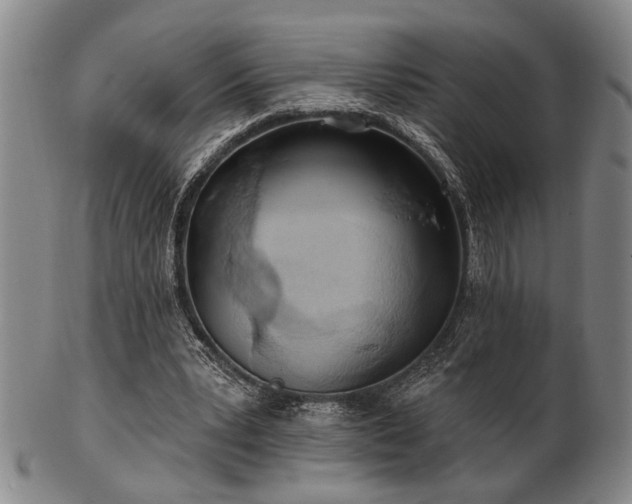 X0000102460391200808081232