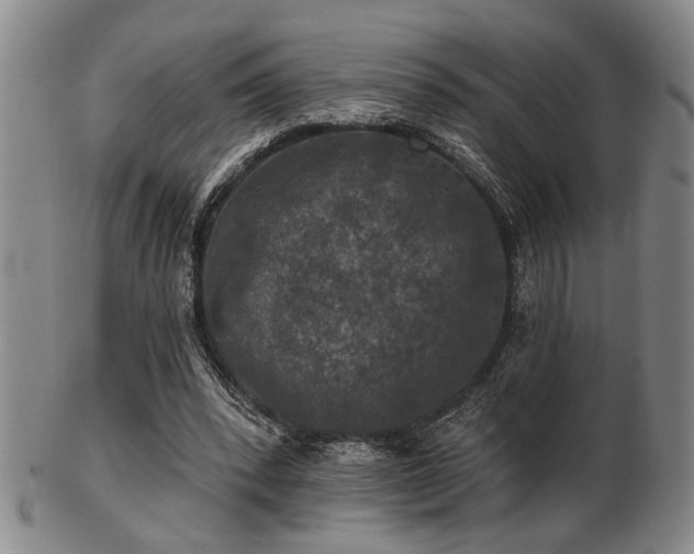 X0000102460392200808081232