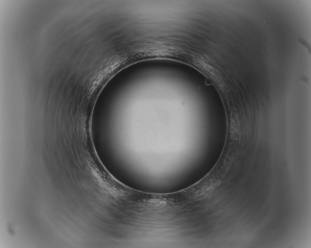 X0000102460394200808081232