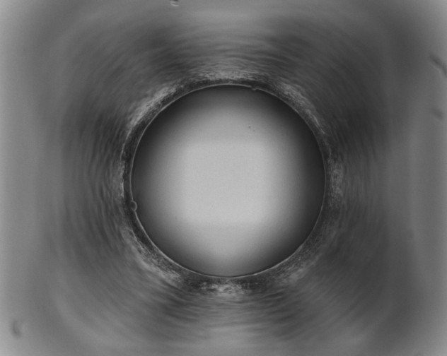 X0000102460395200808081232