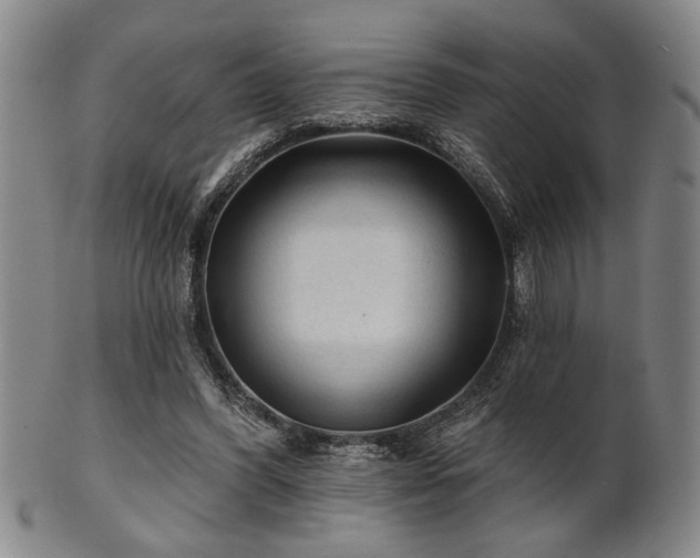 X0000102460396200808081232