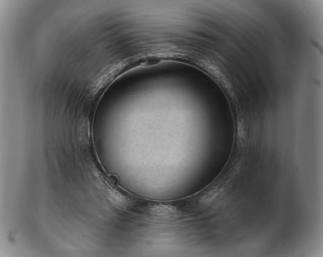 X0000102460397200808081232