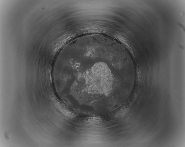 X0000102460398200808081232