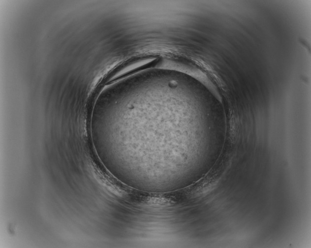 X0000102460399200808081232