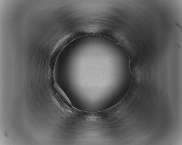 X0000102460400200808081232