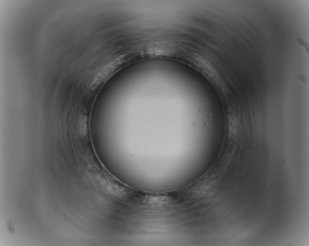 X0000102460401200808081232