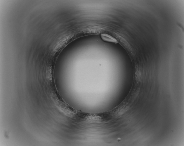 X0000102460403200808081232