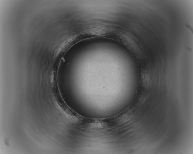 X0000102460404200808081232