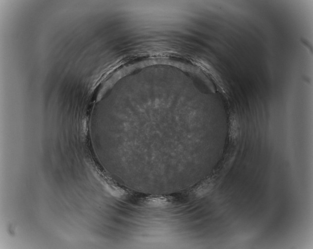 X0000102460405200808081232