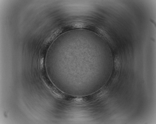 X0000102460406200808081232