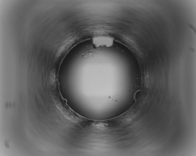 X0000102460407200808081232