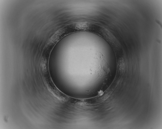 X0000102460408200808081232