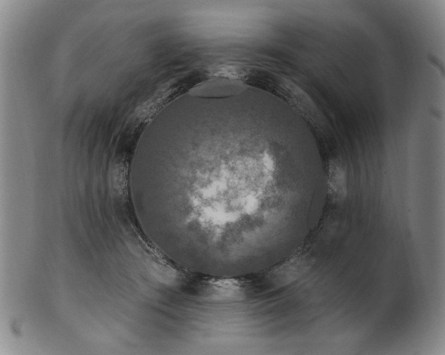 X0000102460409200808081232