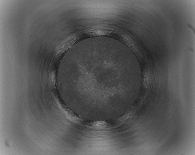 X0000102460410200808081232