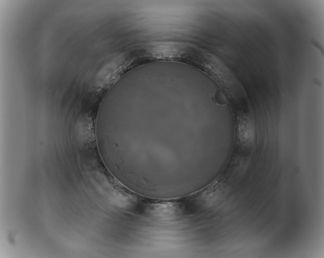 X0000102460411200808081232