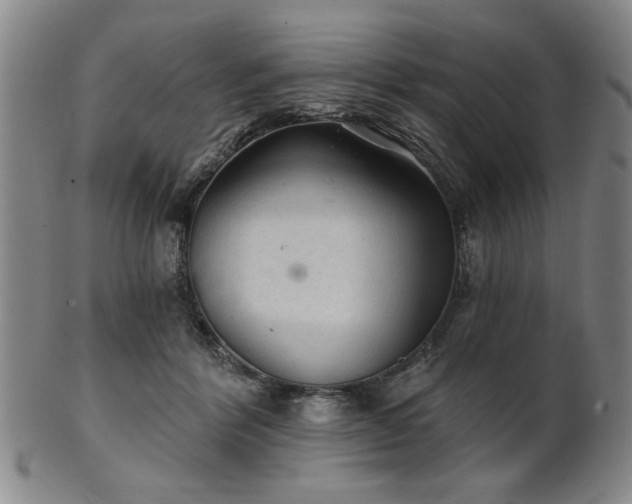 X0000102460412200808081232