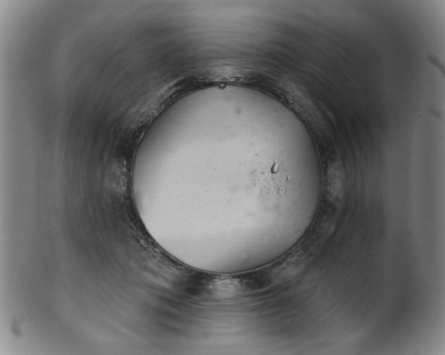 X0000102460413200808081232