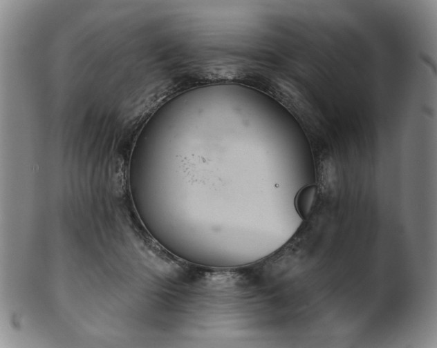 X0000102460414200808081232