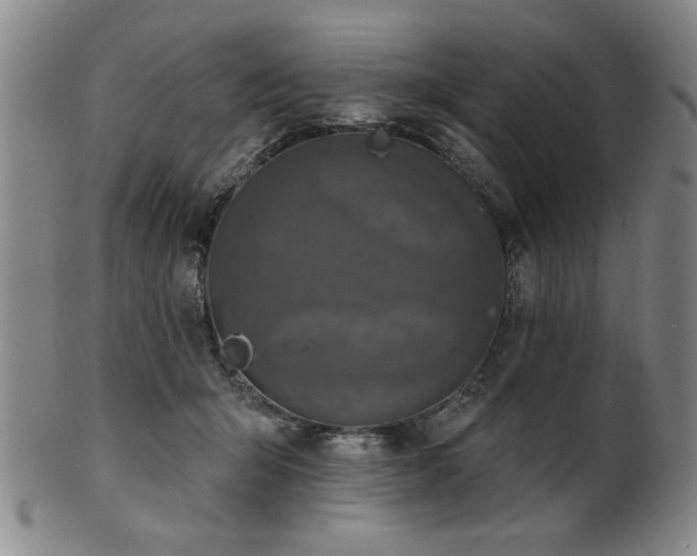 X0000102460415200808081232