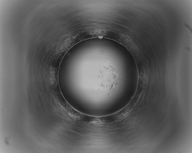 X0000102460416200808081232