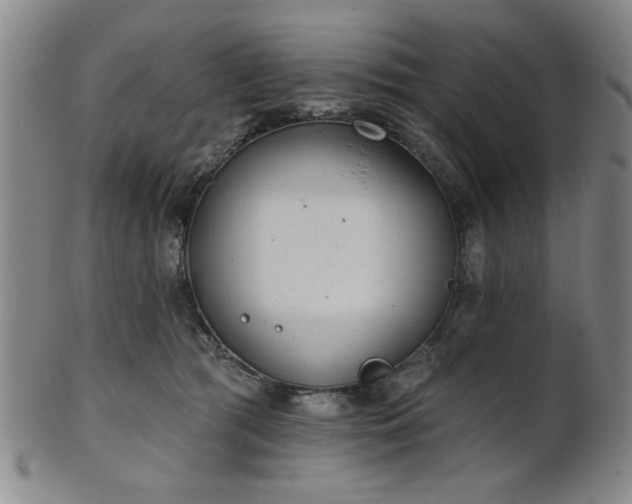 X0000102460417200808081232