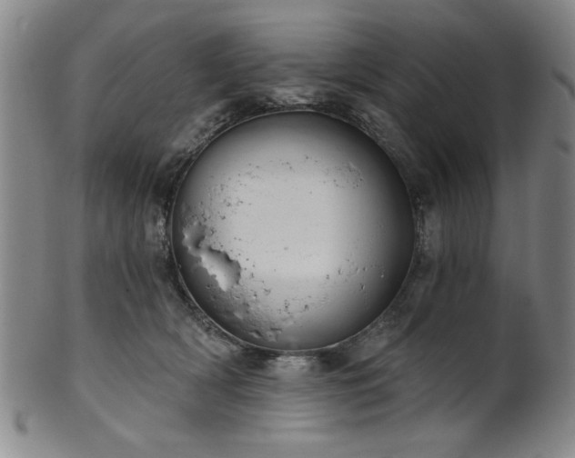 X0000102460418200808081232